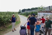150614-Weinfest-Hagnau-DSC09665