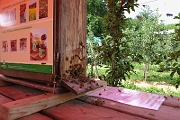 150614-Weinfest-Hagnau-DSC09675